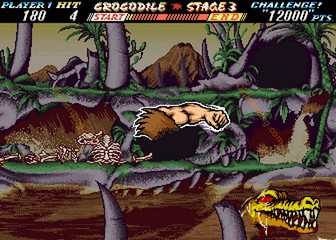 image de The First Funky Fighter